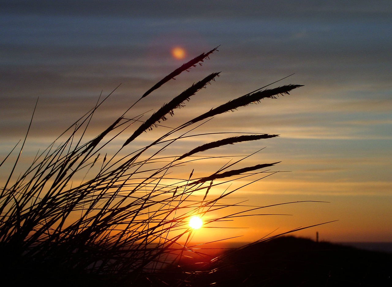 sun-49521_1280